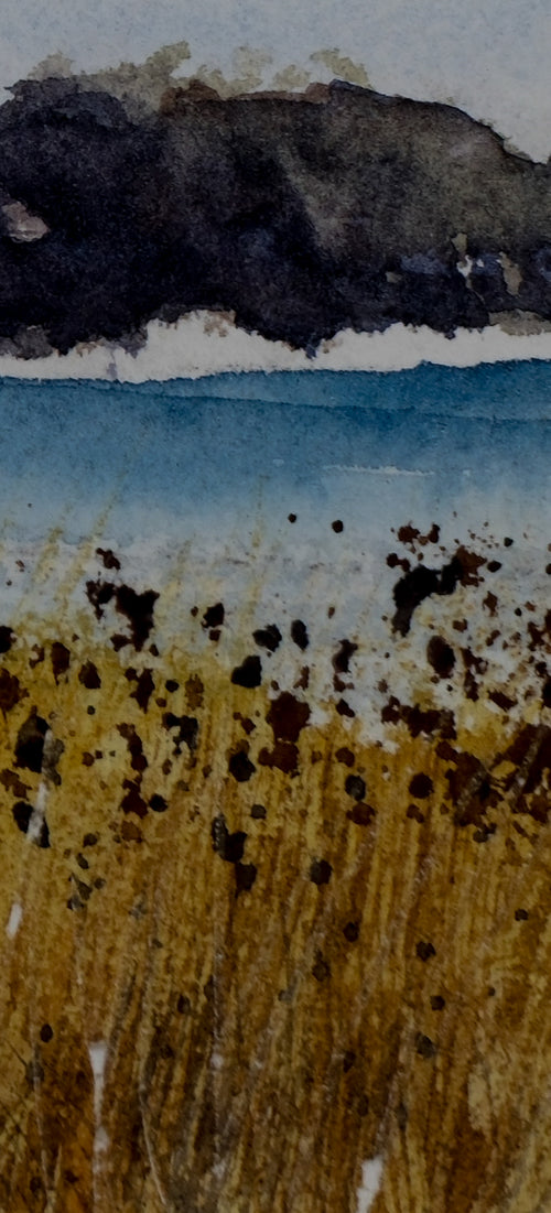 Reeds on a Frozen Lake - An Original Watercolor Painting