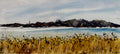 Reeds on a Frozen Lake - An Original Watercolor Painting